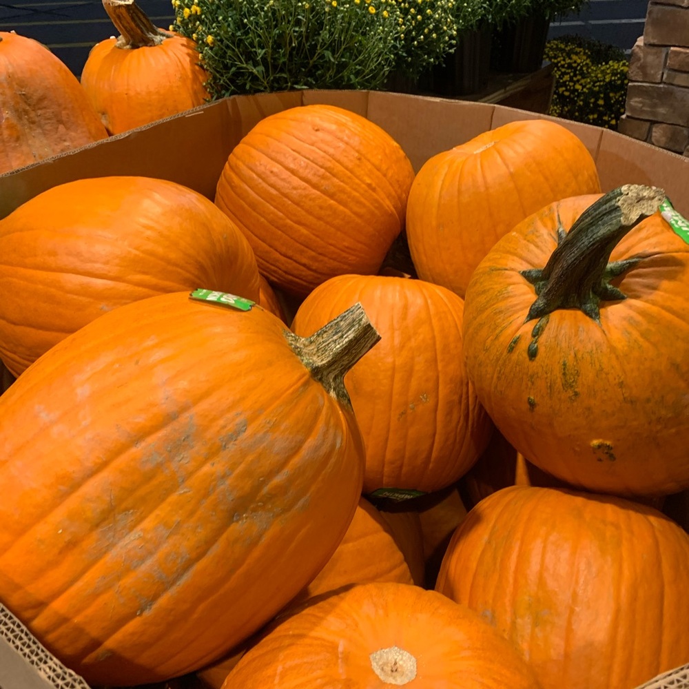 Meet your Posher, Jody